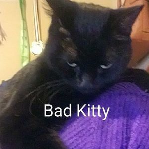 Meet your Posher, Barbara